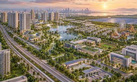 Việt Nam có một tỷ phú sang nước đông dân nhất thế giới làm loạt dự án 9,5 tỷ USD, có đại đô thị 200.000 dân rộng gấp 4 lần Vinhomes Smart City