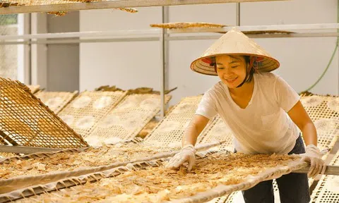 Mong muốn lưu giữ món quà ngon truyền thống Việt Nam của cô gái Bắc Giang