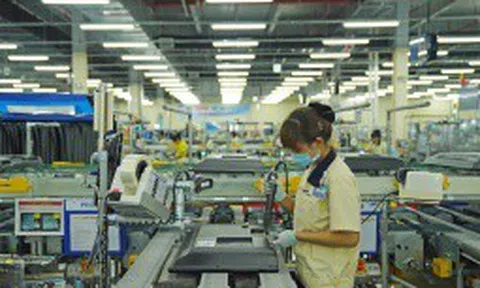 72% doanh nghiệp EU tại Việt Nam có kế hoạch mở rộng hoạt động kinh doanh