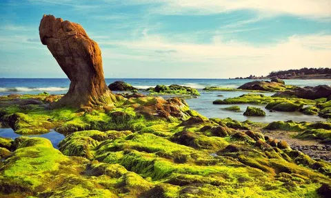 4 lợi thế đầu tư bất động sản nghỉ dưỡng Phan Thiết