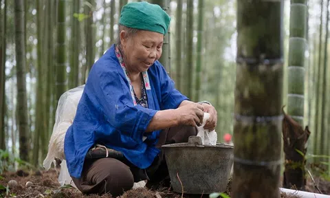 Bí kíp khiến cụ bà sống trường thọ dù bị ung thư gan