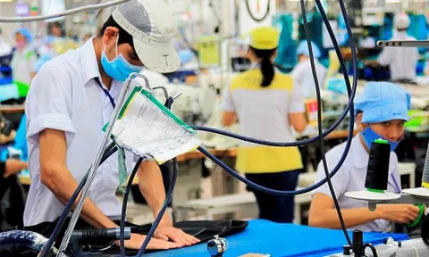 Đo mức độ lạc quan của doanh nghiệp trong nước về triển vọng tăng trưởng quý IV