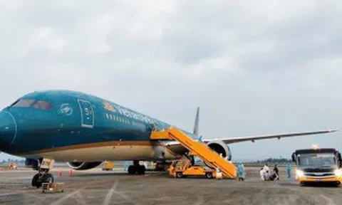 Đưa hơn 340 công dân Việt Nam từ Hoa Kỳ về nước an toàn