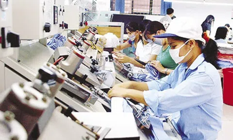 Khu vực Đồng bằng sông Cửu Long đạt thặng dư thương mại 6 tỷ USD sau 8 tháng