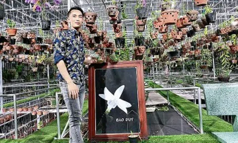 Bén duyên với ngành lan và khởi nghiệp từ lan đột biến
