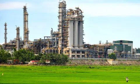 Công ty quản lý nhà máy lọc dầu Dung Quất thoát lỗ