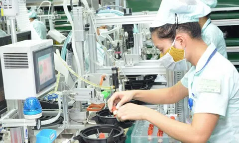 Quan tâm hơn nữa tới vốn FDI tại Việt Nam