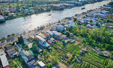 Đấu giá quyền sử dụng đất tại thành phố Sa Đéc, tỉnh Đồng Tháp