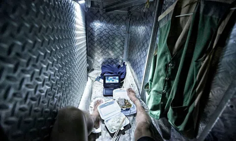 Ngôi làng có hơn 30.000 cây rẻ quạt ở Trung Quốc