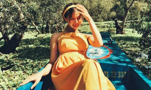 4 khu rừng lên hình đẹp như phim ở Việt Nam