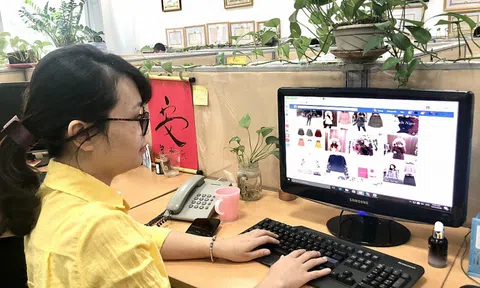 Trốn thuế bị phạt tiền gấp 3 lần