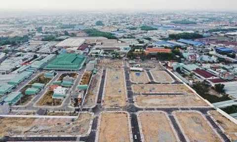 Lịch đấu giá QSDĐ tại TP. Quy Nhơn, tỉnh Bình Định