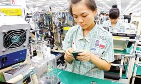 Làn sóng “Việt Nam+1” của Nhật Bản đang trở lại