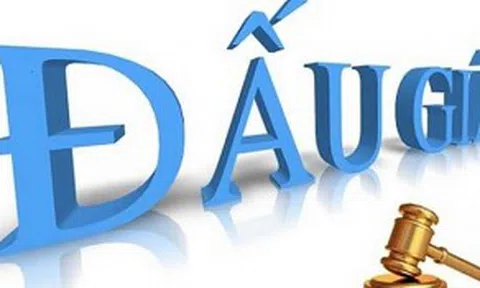 Thông báo đấu giá quyền sử dụng đất tại huyện Tân Trụ, tỉnh Long An