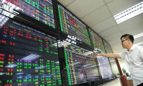 Cổ phiếu ngành nào hút tiền quý IV/2020?