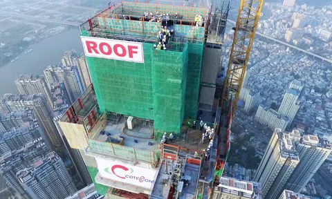 Lãnh đạo Coteccons từ chức, tố cổ đông ngoại 'không có trước, có sau'