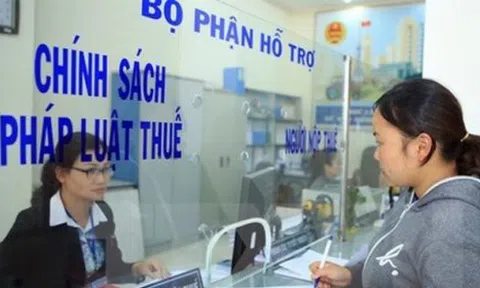 Trốn thuế sẽ bị phạt đến ba lần số tiền thuế trốn từ 5/12