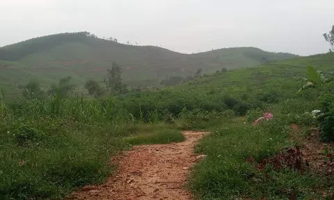 Tranh chấp đất đai tại Lâm trường Đồng Hợp (Nghệ An): Vụ việc vẫn chưa có hồi kết