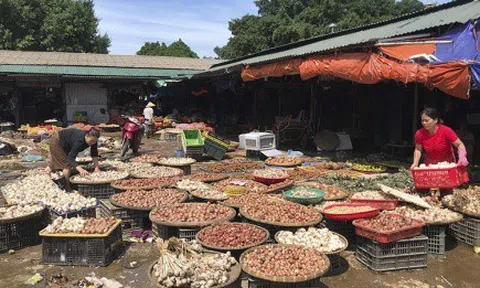 Hà Tĩnh: Nhiều tiểu thương trắng tay sau trận lũ lịch sử