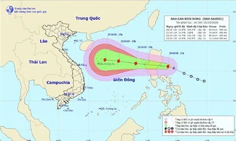 Bão số 8 di chuyển theo hướng Tây Tây Bắc hướng vào biển Đông