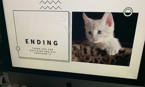 Bé gái dùng PowerPoint thuyết phục bố mẹ nuôi mèo