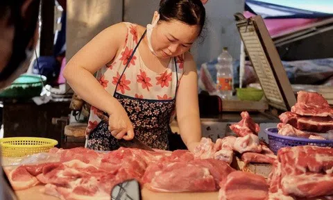 Giá lợn hơi xuống thấp nhất trong vòng 1 năm