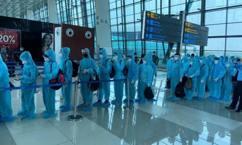 Đưa gần 450 công dân Việt Nam từ Hàn Quốc về nước