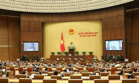 Đưa người từ 18 tuổi trở lên vào cơ sở cai nghiện bắt buộc là biện pháp hành chính