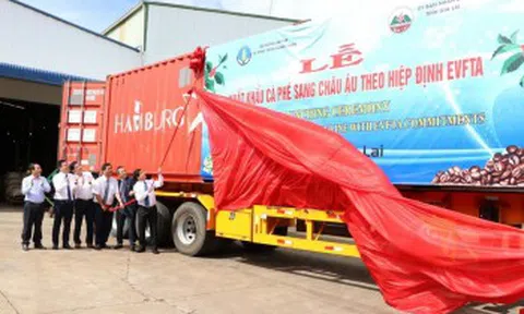 EVFTA: Tăng xuất khẩu những nhóm hàng lợi thế trong dịch COVID-19