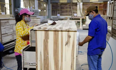 Xuất khẩu gỗ tăng trưởng kỷ lục nhưng ẩn chứa rủi ro 'đầu tư núp bóng'