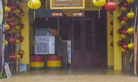 Xem xét miễn giảm lãi vay cho khách hàng bị ảnh hưởng mưa lũ