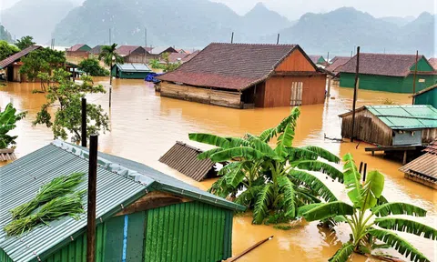 Thủ tướng quyết định xuất cấp 4.000 tấn gạo hỗ trợ miền Trung