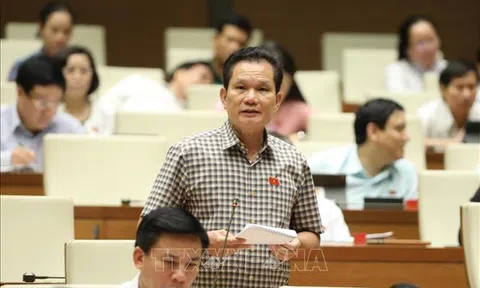 Tập trung giải quyết vấn đề công bằng xã hội, đảm bảo thực chất