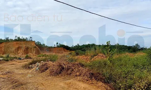 Phú Thọ: Ai “bảo kê” cho tình trạng khai thác đất của TT dạy nghề và ĐTLX Hùng Vương?