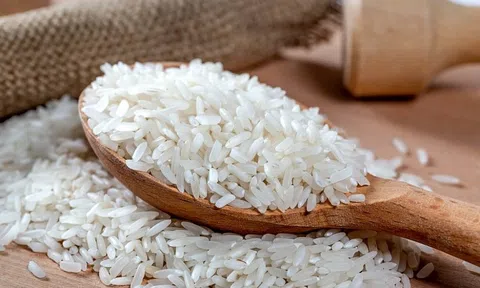 Giá gạo hôm nay 25/10: Giữ đà tăng