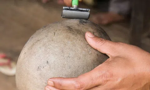 Pháp trục xuất gia đình đánh đập và cạo đầu con gái