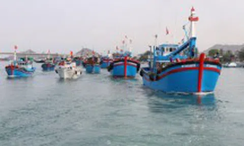 Gỡ thẻ vàng IUU: Ba năm vẫn ‘mong manh’