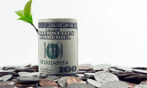 Lịch chốt quyền cổ tức bằng tiền của 11 doanh nghiệp