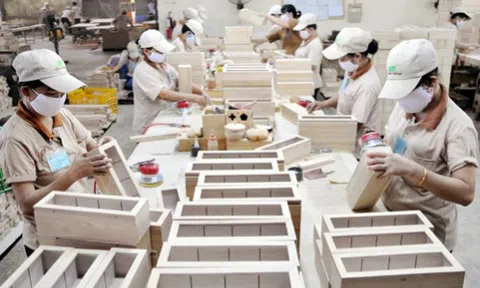 Gỗ Đức Thành (GDT) dự chi 34 tỷ đồng trả cổ tức đợt 1/2020