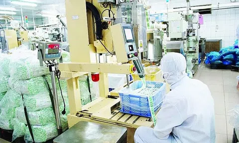 Doanh nghiệp nhựa báo lợi nhuận cải thiện sau quý III/2020