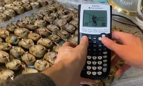 Clip: Dùng 45kg khoai tây để chơi game trên máy tính cầm tay