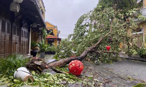 Ý nghĩa đằng sau tên bão Molave