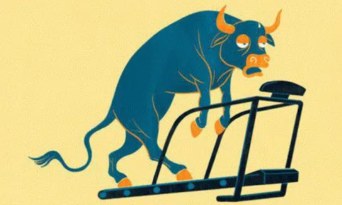 Nhận định thị trường chứng khoán ngày 28/10: Kiệt sức rồi, hồi được không?