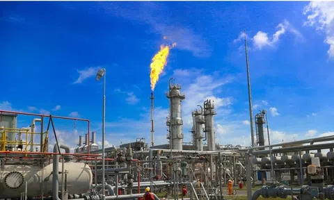 Dự báo giá gas tháng 11/2020: Tăng mạnh?