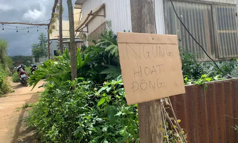 Đóng cửa homestay ở Đà Lạt dính lùm xùm lừa đảo