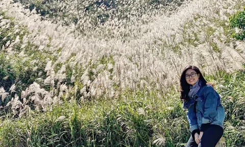 Kinh nghiệm du lịch Bình Liêu mùa cỏ lau