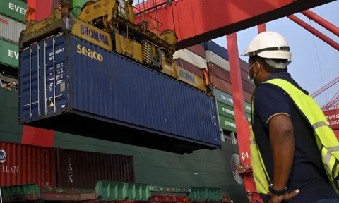 Sri Lanka trả Anh container rác thải chứa bộ phận cơ thể người