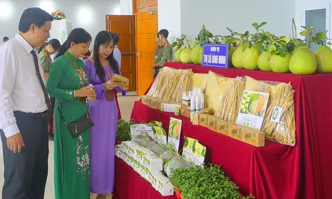 Phấn đấu đưa du lịch Vĩnh Long thành ngành kinh tế quan trọng