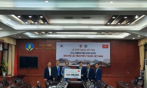 Hàn Quốc hỗ trợ Việt Nam 300.000 USD để khắc phục hậu quả thiên tai