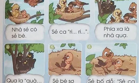 Bộ trưởng Phùng Xuân Nhạ 'báo cáo' về 'sự cố' sách giáo khoa Tiếng Việt 1